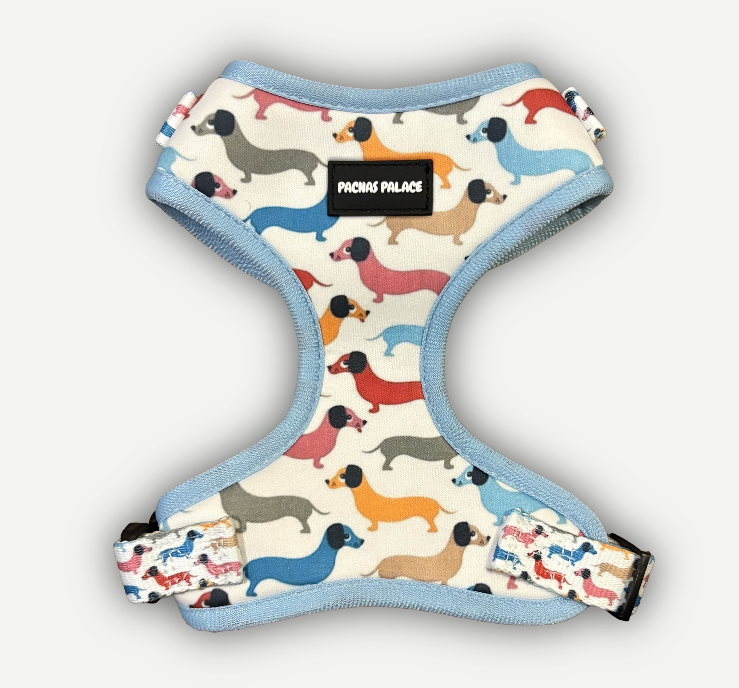 Blue Dachshund Dog Harness & Matching Lead