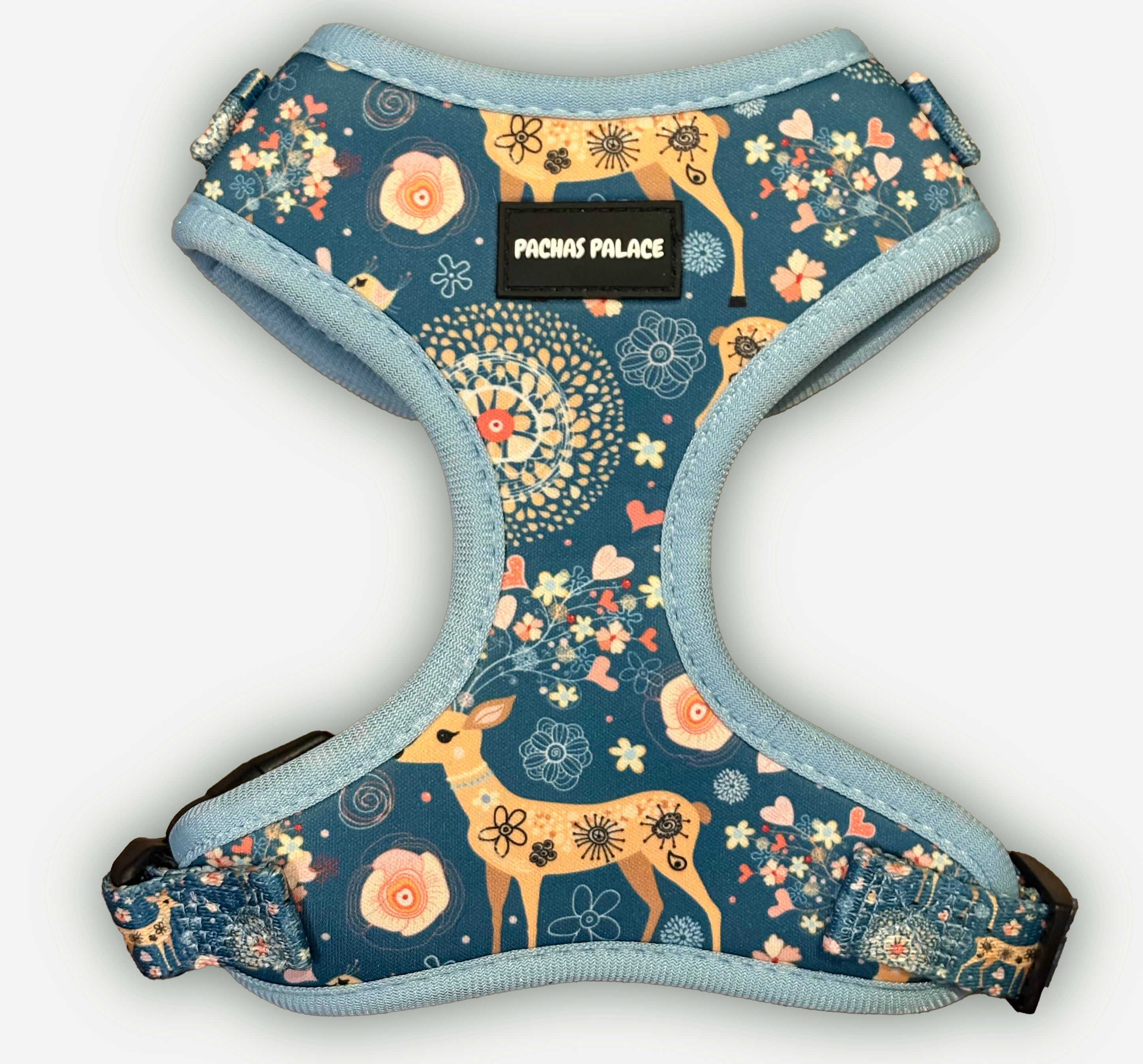 Blue Dog Harness & Matching Lead