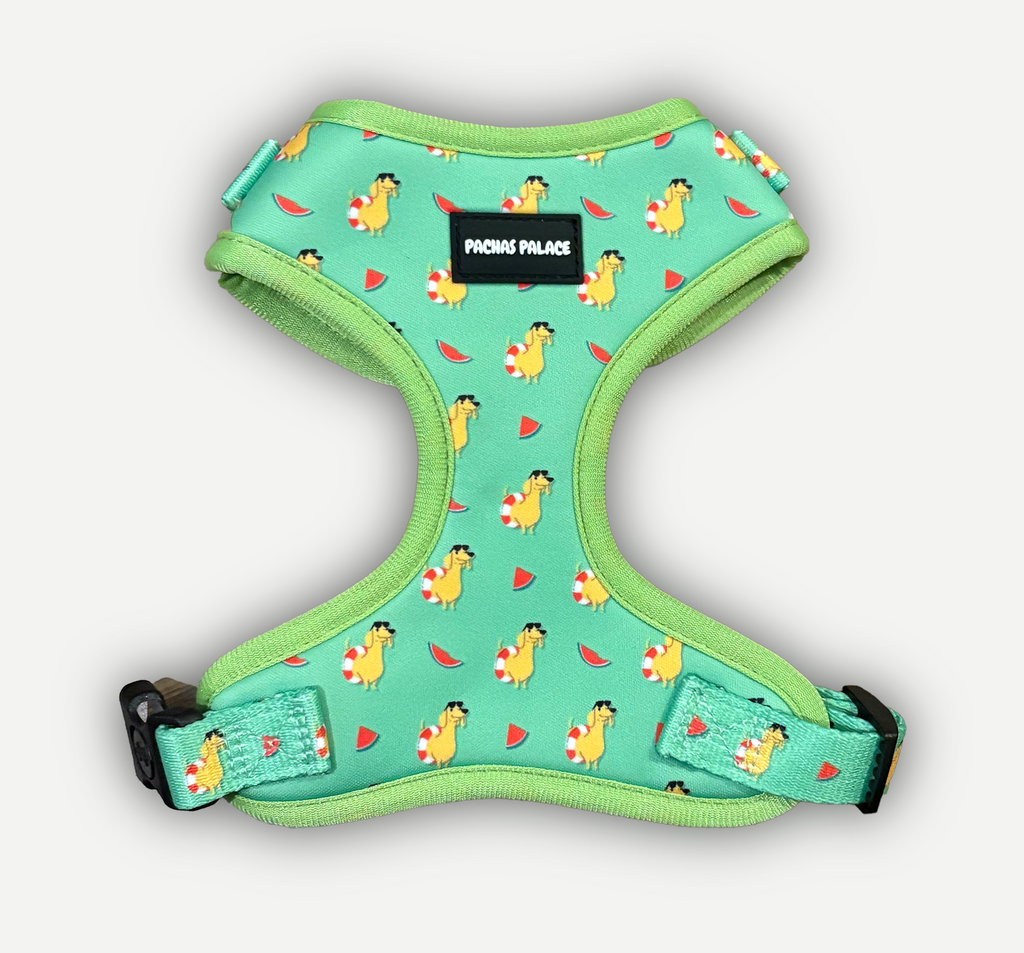 Green Dachshund Dog Harness & Matching Lead