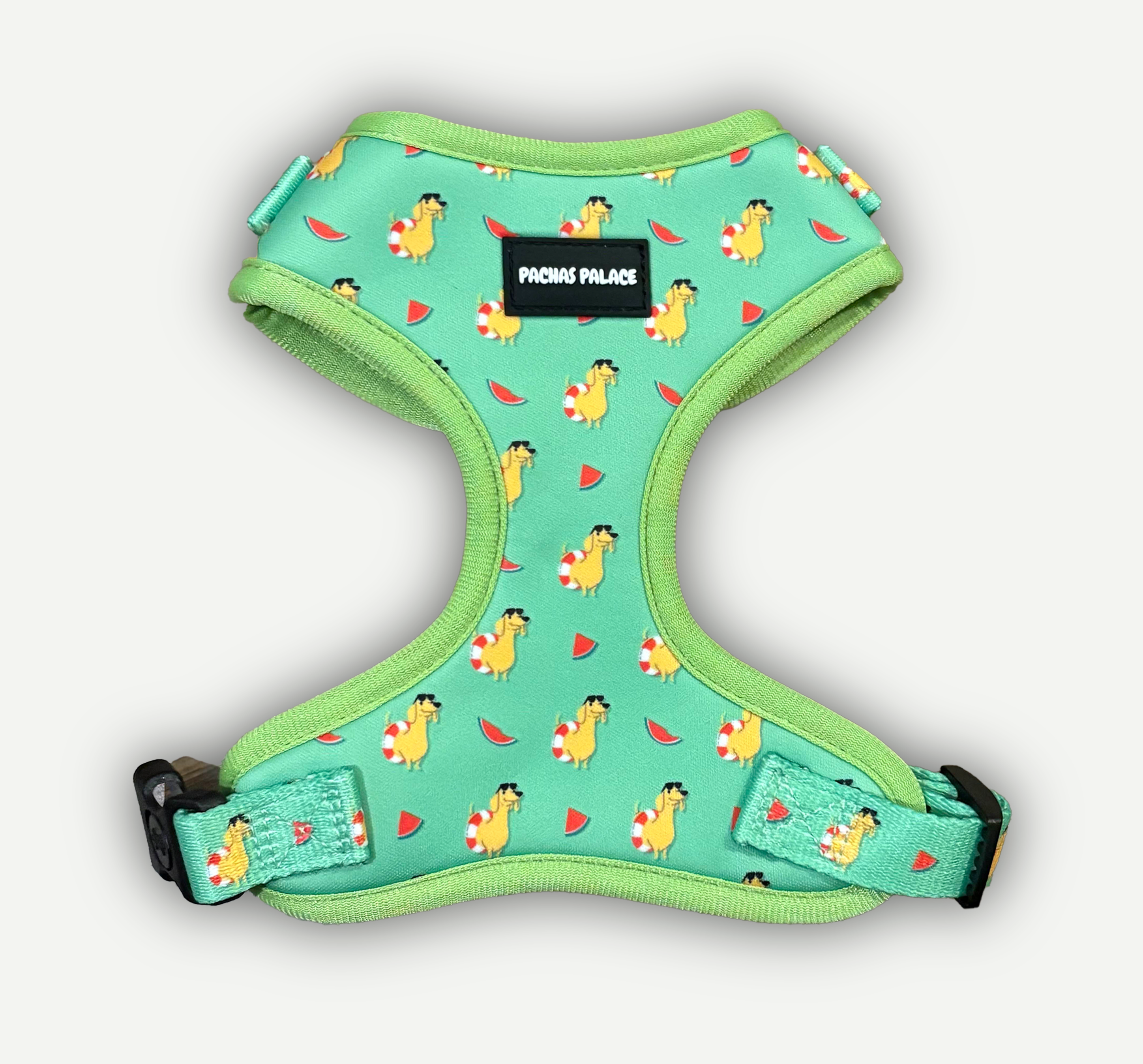 Green Dachshund Dog Harness & Matching Lead
