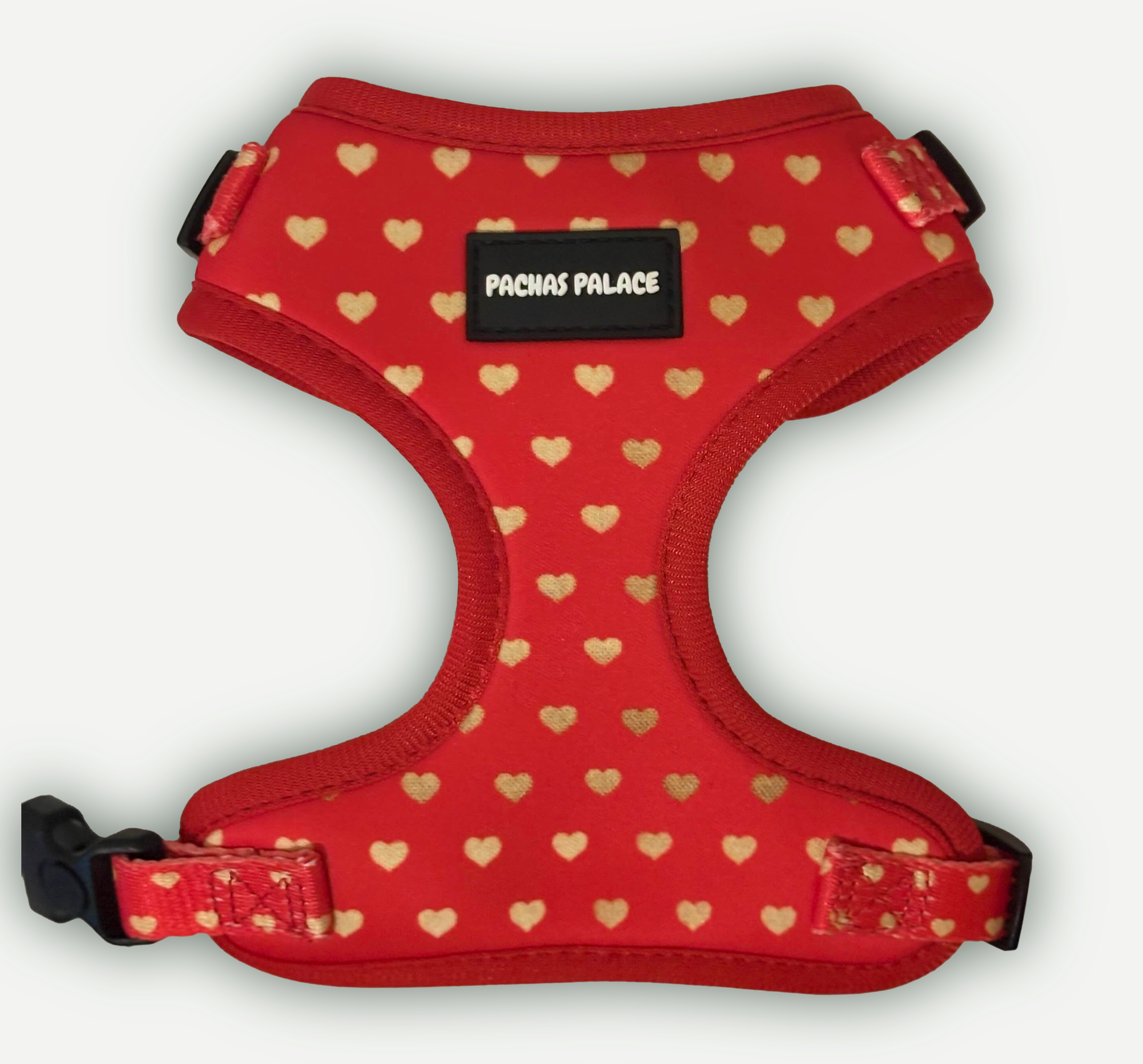 Red Puppy Harness & Matching Lead
