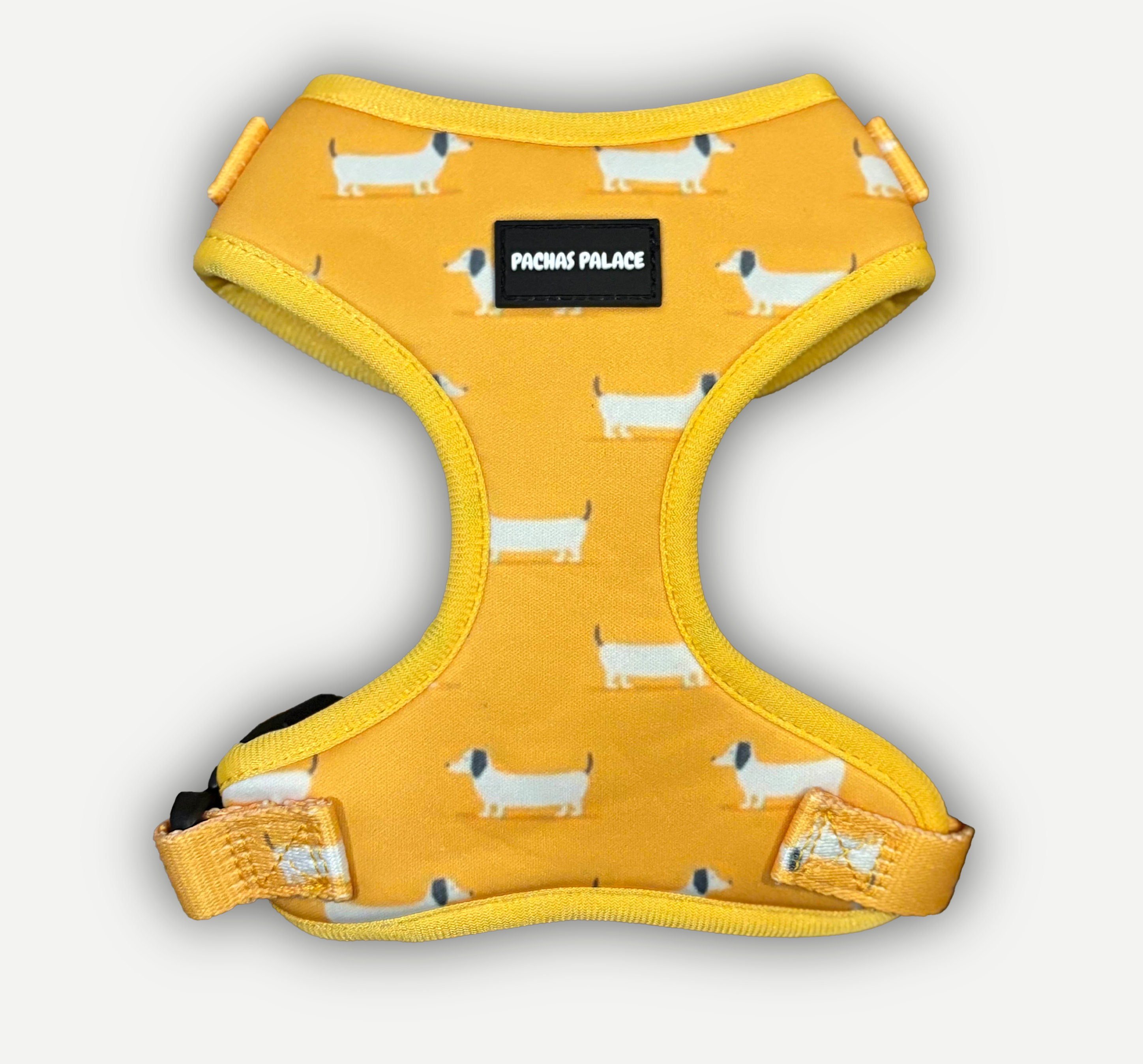 Yellow Dachshund Dog Harness & Matching Lead